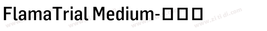 FlamaTrial Medium字体转换